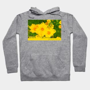 Coreopsis Flower Power Hoodie